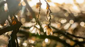 Zimowe mobilne biuro Mazury24, czyli Arek na biwaku, grudzień 2024 r. - zdjęcie 25