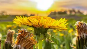 Mix mazurskich ujęć z szuflady, 2024 cz. II - zdjęcie 9