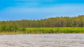 Mix mazurskich ujęć z szuflady, 2024 cz. II - zdjęcie 12