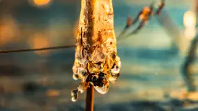 Zachód słońca nad jeziorem Tajty, styczeń 2025 r. - zdjęcie 19