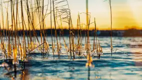 Zachód słońca nad jeziorem Tajty, styczeń 2025 r. - zdjęcie 18