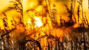 Zachód słońca nad jeziorem Tajty, styczeń 2025 r. - zdjęcie 37