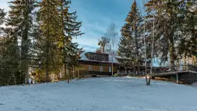 Łabędzi Ostrów w Pięknej Górze w zimowej aurze, styczeń 2025 r. - zdjęcie 9