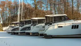 Łabędzi Ostrów w Pięknej Górze w zimowej aurze, styczeń 2025 r. - zdjęcie 29