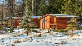 Łabędzi Ostrów w Pięknej Górze w zimowej aurze, styczeń 2025 r. - zdjęcie 21