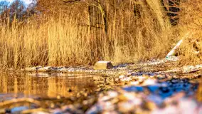 Wschód słońca nad jeziorem Święcajty w Kolonii Rybackiej - zdjęcie 38