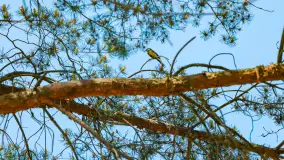 Wiosna w Kętrzynie, maj 2021 r. - zdjęcie 10