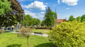 Wiosna w Kętrzynie, maj 2021 r. - zdjęcie 12