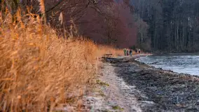 Zachód słońca nad jeziorem Dargin, styczeń 2025 r. - zdjęcie 23