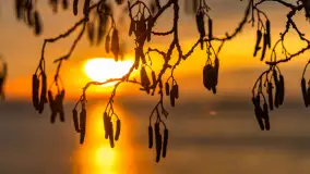 Zachód słońca nad jeziorem Dargin, styczeń 2025 r. - zdjęcie 11