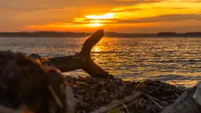 Zachód słońca nad jeziorem Dargin, styczeń 2025 r. - zdjęcie 22