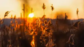 Zachód słońca nad jeziorem Okrągłym, luty 2025 r. - zdjęcie 3