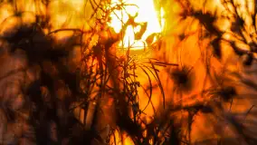 Zachód słońca nad jeziorem Okrągłym, luty 2025 r. - zdjęcie 20