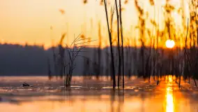 Zachód słońca nad jeziorem Okrągłym, luty 2025 r. - zdjęcie 14