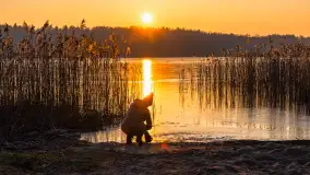 Zachód słońca nad jeziorem Okrągłym, luty 2025 r. - zdjęcie 8