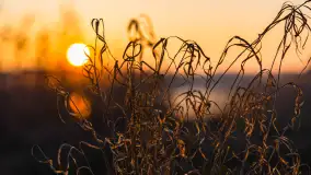 Zachód słońca nad jeziorem Okrągłym, luty 2025 r. - zdjęcie 7