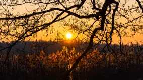 Zachód słońca nad jeziorem Okrągłym, luty 2025 r. - zdjęcie 18