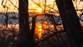 Zachód słońca nad jeziorem Okrągłym, luty 2025 r. - zdjęcie 22