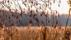 Zachód słońca nad jeziorem Okrągłym, luty 2025 r. - zdjęcie 16