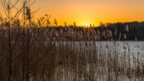 Zachód słońca nad jeziorem Skarż Wielki, luty 2025 r. - zdjęcie 9