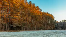 Zachód słońca nad jeziorem Skarż Wielki, luty 2025 r. - zdjęcie 4