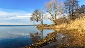 Popołudnie nad jeziorem Kisajno przy Pierkunowie, styczeń 2025 r. - zdjęcie 28