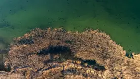 Popołudnie nad jeziorem Kisajno przy Pierkunowie, styczeń 2025 r. - zdjęcie 16