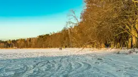 Jezioro Dargin przed zachodem słońca, luty 2025 r. - zdjęcie 8