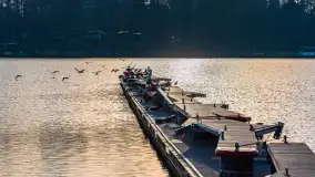 Mikołajki zimą, wersja jeszcze bez śniegu, luty 2025 r. - zdjęcie 29