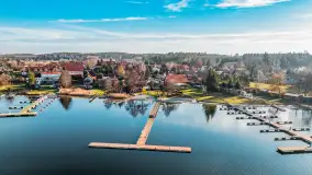 Tło dla mew w okowach zimy... ale bez śniegu, styczeń 2025 r. - zdjęcie 10