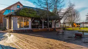 Tło dla mew w okowach zimy... ale bez śniegu, styczeń 2025 r. - zdjęcie 19