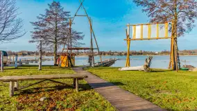 Tło dla mew w okowach zimy... ale bez śniegu, styczeń 2025 r. - zdjęcie 4