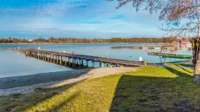 Tło dla mew w okowach zimy... ale bez śniegu, styczeń 2025 r. - zdjęcie 8