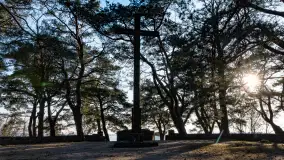 Cmentarz wojenny Jagerhohe zimą... ale bez śniegu, luty 2025 r. - zdjęcie 16