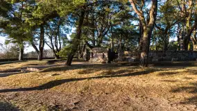 Cmentarz wojenny Jagerhohe zimą... ale bez śniegu, luty 2025 r. - zdjęcie 11