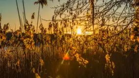 Zachód słońca nad jeziorem Kisajno, Piękna Góra, luty 2025 r. - zdjęcie 13