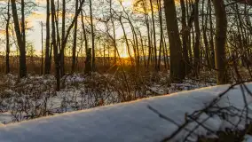 Zachód słońca nad jeziorem Kisajno, Piękna Góra, luty 2025 r. - zdjęcie 19