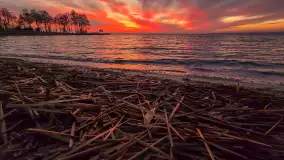 Zachody i wschody słońca na ujęciach z telefonu, sezon 2024 r. - zdjęcie 49