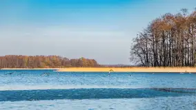 Przedwiośnie na przystani Leśny Zakątek, jezioro Mamry, marzec 2025 r. - zdjęcie 18