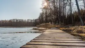 Przedwiośnie na przystani Leśny Zakątek, jezioro Mamry, marzec 2025 r. - zdjęcie 15