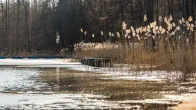 Przedwiośnie na przystani Leśny Zakątek, jezioro Mamry, marzec 2025 r. - zdjęcie 11
