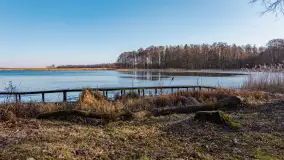 Przedwiośnie na przystani Leśny Zakątek, jezioro Mamry, marzec 2025 r. - zdjęcie 5