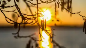 Zachód słońca nad jeziorem Mamry, Zwierzyniecki Róg, marzec 2025 r. - zdjęcie 2