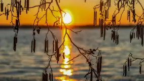 Zachód słońca nad jeziorem Mamry, Zwierzyniecki Róg, marzec 2025 r. - zdjęcie 6