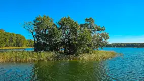 Wspominki sezonu 2023 na zdjęciach z telefonu, cz. II - zdjęcie 12