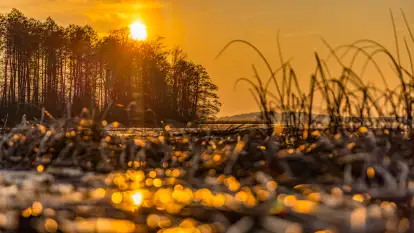 Zachód słońca na Fuledzie, jezioro Dobskie, marzec 2025 r.