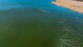 Jaz w Kwiku, marzec 2025r. - zdjęcie 8