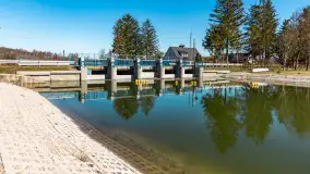 Jaz w Kwiku, marzec 2025r. - zdjęcie 22