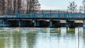 Jaz w Kwiku, marzec 2025r. - zdjęcie 20