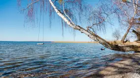 Półwysep Szeroki Ostrów, marzec 2025r. - zdjęcie 23